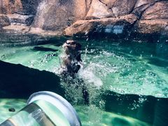 -波塞冬旅游度假区