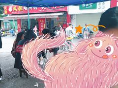 -凤张螺蛳粉·爽口粉(跃进路总店)