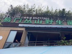 -易门野生菌府·菌海森林(月牙潭公园店)