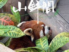 -北京野生动物园