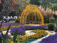 -深圳仙湖植物园
