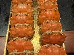 -牛New寿喜烧(金茂览秀城店)