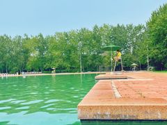 -柳浪游泳场