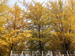 -辽宁大学(崇山校区)
