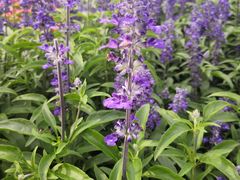 -长春公园(普阳街道)