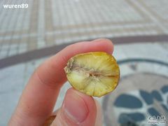 板栗-栗满秋(燕丰西坝河店)