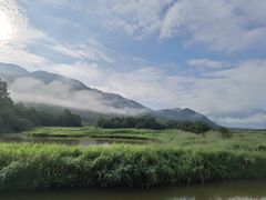 -大九湖