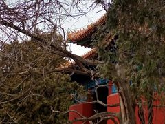 -北京国子监胡同