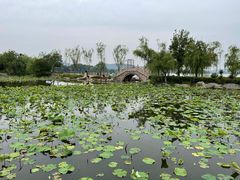 -云龙湖旅游景区