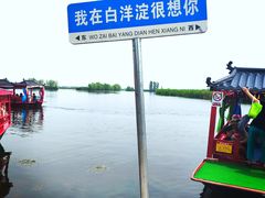 -白洋淀景区