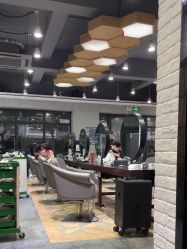 -心联形象设计·流星染