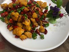 -港升鱼师傅·中山脆肉鲩