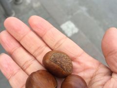 -秋栗香(地安门店)