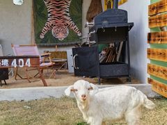 -不觉晓CAMPING(上海迪士尼营地店)