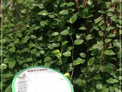 -上海大自然野生昆虫馆(东方明珠·爬宠昆虫探索中心)