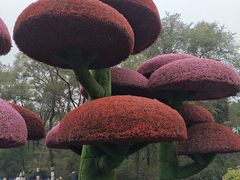 -沈阳植物园