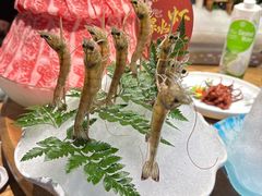 -尚海豆捞(乐虹坊店)