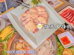 -椰小鸡·琼州糟粕醋(美兰缤纷城店)
