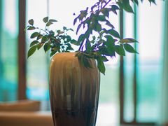 -天目湖御水温泉·度假酒店