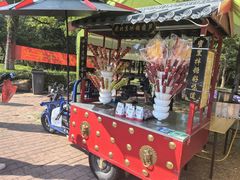 -风云岭森林公园