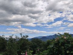 -阳台山自然风景区