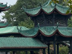 -桂湖森林公园