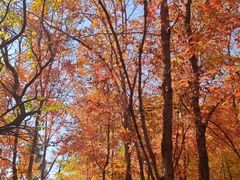 -长春市南湖公园