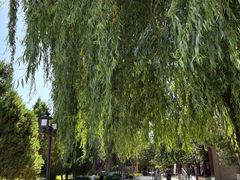 -张掖大佛寺景区