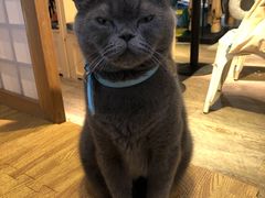 -小时光咖啡馆(开森度假森林店)