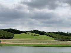-迪茵湖田家舍生态农场