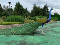 -丽江植物园
