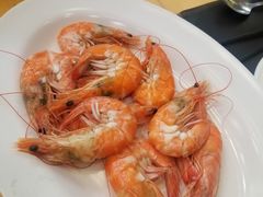 -绿光森林餐厅