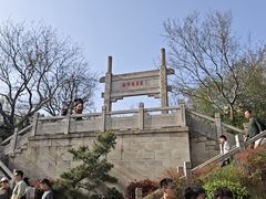 -紫金山山顶公园
