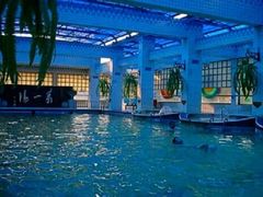 -咸宁万豪温泉谷度假区