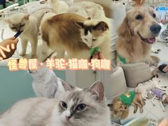 -怪兽屋·羊驼·猫咖·狗咖(俊华广场店)