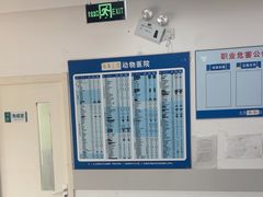 -乖乖宠物医院·猫科·骨科·24小时(云岗分院)