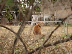 -崔岗艺术村