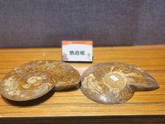 -六合国家地质公园桂子山景区
