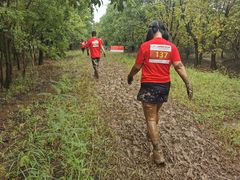 -上海海湾国家森林公园