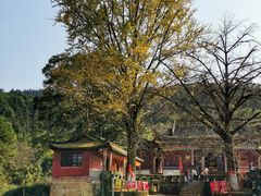 -佛荫寺