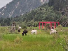 -九寨沟爱情海景区