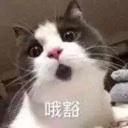 -miss密斯韩餐(平阳景苑店)