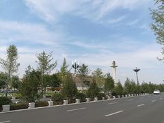 -娜娜大盘鸡(金谷园路店)