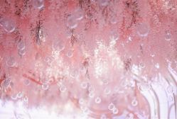 -曼格纳婚礼艺术中心(张江店)