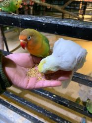 -酷嗒动物文化乐园(cutezoo西溪乐天城店)