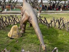 -长洲岛都市农业公园
