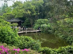 -汇龙潭