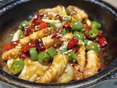 -港升鱼师傅·中山脆肉鲩