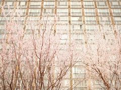 -知春路(地铁站)