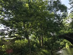 -天目湖松岭竹海漂流